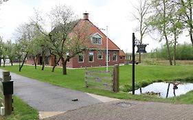 It Foarhus